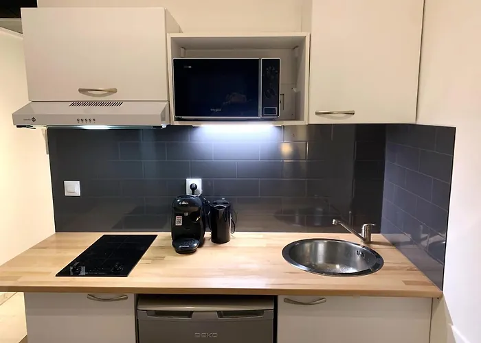 Croisette Studio, Steps From Beach, Behind Martinez Ac Wifi * كان